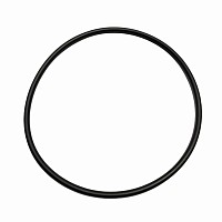 Кольцо уплотнительное шестерни ТНВД Cummins ISLe Cummins | ТопДизель