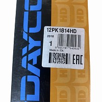 Ремень поликлиновой Iveco EuroStar/EuroTech/Cursor Dayco | ТопДизель