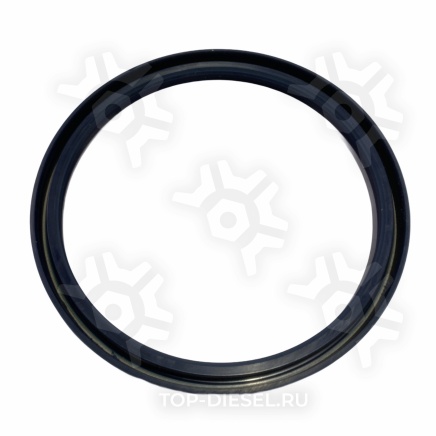 80456 Сальник ступицы 145x167x13 BPW DPH купить рис.2