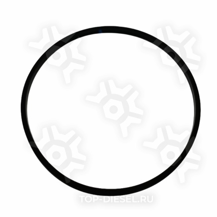 4985660 Кольцо уплотнительное клапанного распредвала задняя Cummins ISX Cummins купить