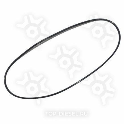 7319 кольцо уплотнительное резиновое !задн.ступицы 255x5 \MB SE-M купить