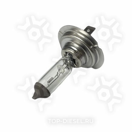 8GH007157121 Лампа галогенная H7 55W 12V PX26D Hella купить