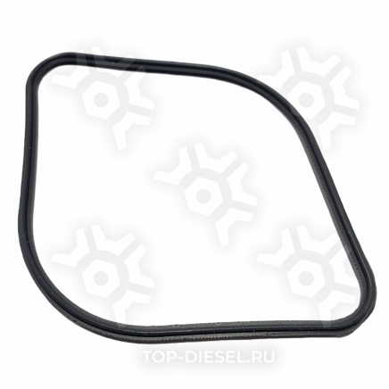 3679932 Кольцо уплотнительное крышки распредвала клапанов перед Cummins ISX, Freightliner/International Cummins купить