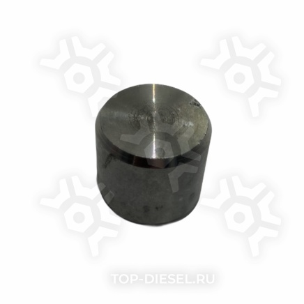 8403695SX Фиксатор полурессоры центровой D=24 H=22 BPW Stellox купить