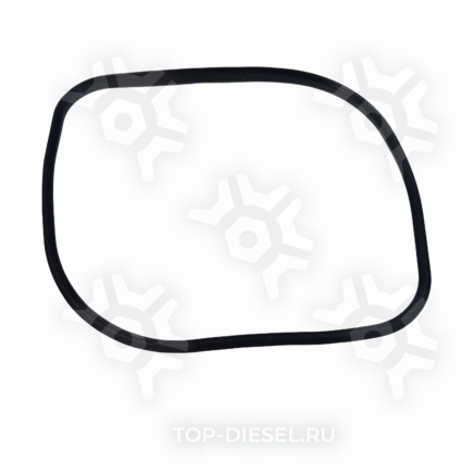 131643 Уплотнительное кольцо клапанного распредвала PAI купить