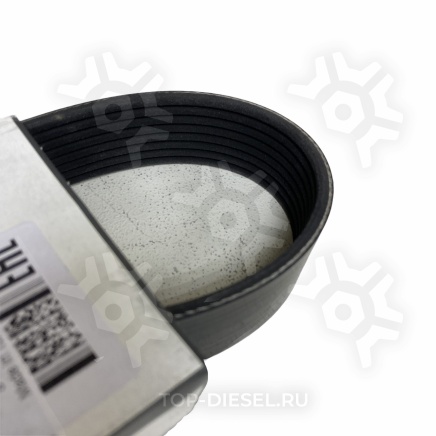 8PK900HD Ремень поликлиновой 8PK900 Volvo FH12 D12A Dayco купить рис.3