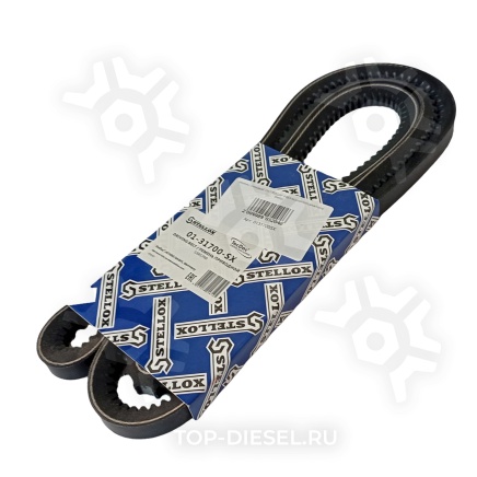 0131700SX Ремень клиновой 13x1700 DAF/Iveco/MAN/Scania/Volvo Stellox купить рис.2