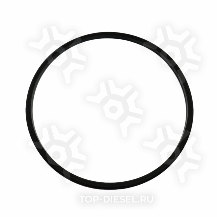 3935032 Уплотнительное кольцо ТНВД Cummins 3935032 купить