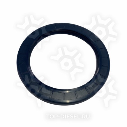 081570 Сальник ступицы задний 120x160x15/13 Renault Premium/Magnum/Kerax Elring купить