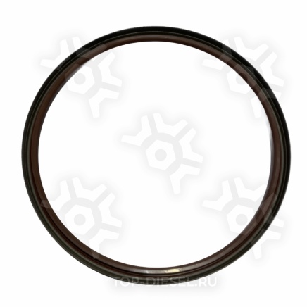 101507 Сальник ступицы задний 180x200x12 Iveco Cargo/Trekker Emmerre купить рис.2