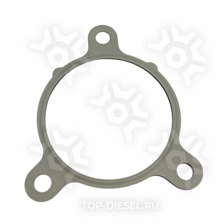 23533534 Прокладка клапана EGR Detroit Diesel Freightliner/International Detroit Diesel купить