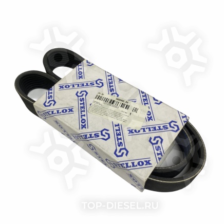 0800955SX Ремень поликлиновой Volvo FH12/FL12 8PK955 Stellox купить рис.2