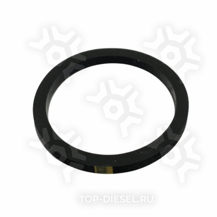 100099 Кольцо уплотнительное демпфера топливного насоса Cummins ISX/KT, Freightliner/International Cummins купить