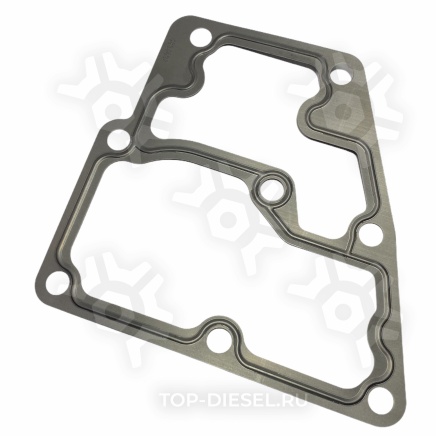 3893692 Прокладка корпуса термостата Cummins M11/ISM Freightliner/International Cummins купить