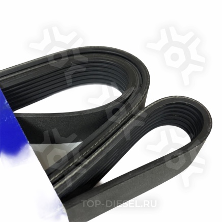 1812162 Ремень поликлиновой DAF CF/XF85/95/105 IV Paccar купить рис.3