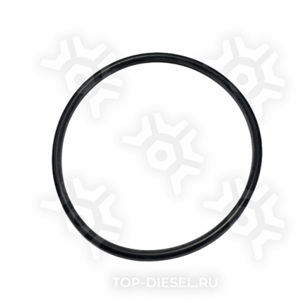 121315 Кольцо уплотнительное Cummins ISX PAI купить