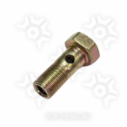 2433456035 Болт перепускной топливопровода М8 MAN Bosch купить